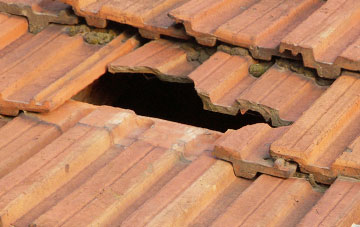 roof repair Hartshill